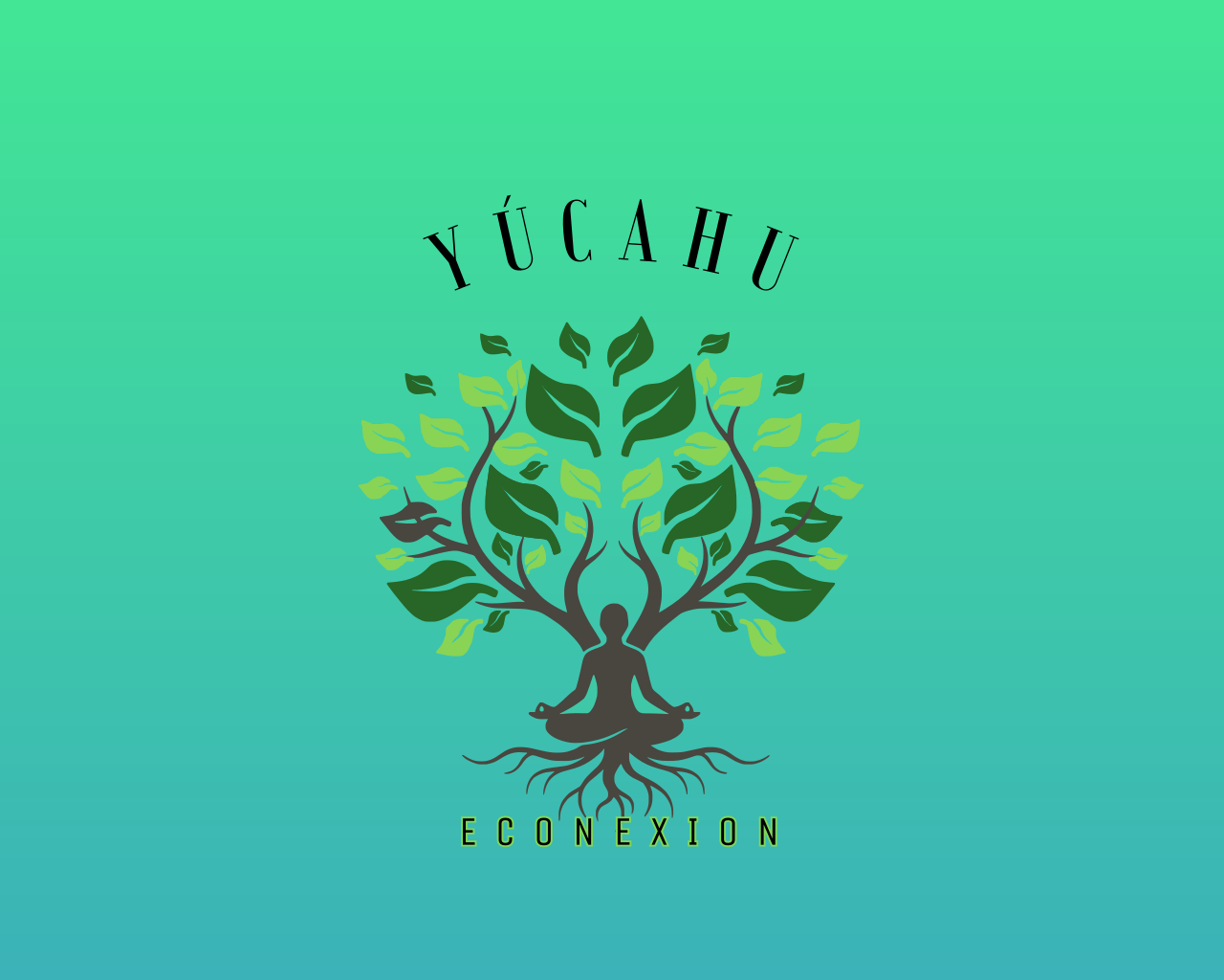 Yúcahu Econexion